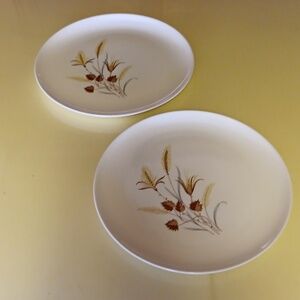 2 Mid Century Autumn Harvest Plates By Taylor Smith
